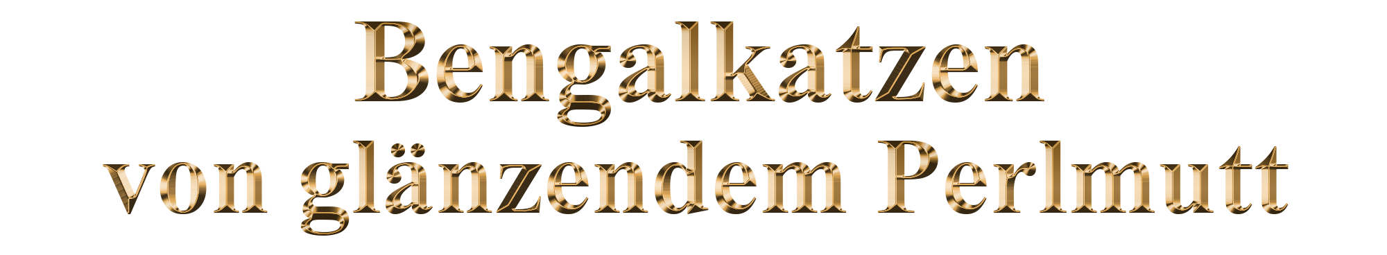 Slogan